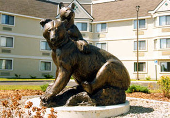 Black Bear Inn, Ascend Collection 3*