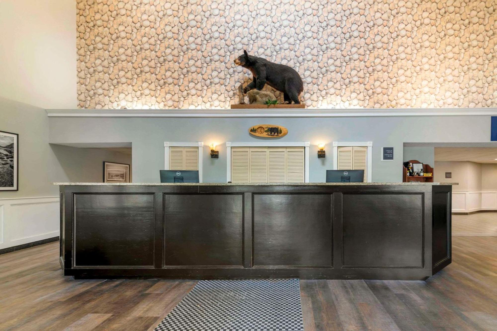 Black Bear Inn, Ascend Collection 3*